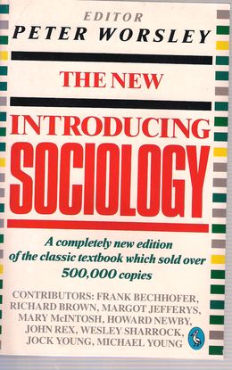 THE NEW INTRODUCING SOCIOLOGY