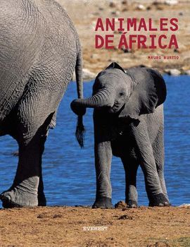 ANIMALES DE FRICA