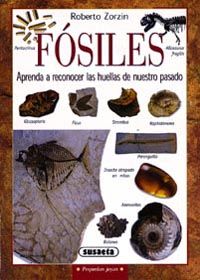 FSILES