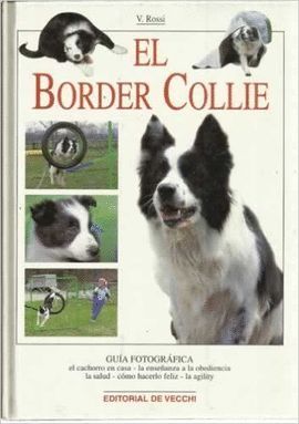 EL BORDER COLLIE