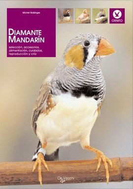DIAMANTE MANDARN
