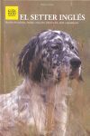 EL SETTER INGLS