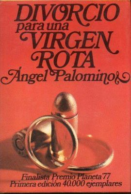 DIVORCIO PARA UNA VIRGEN ROTA