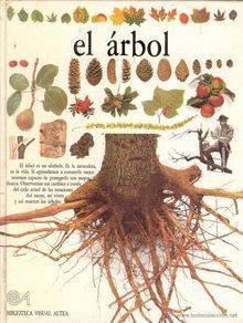 EL ARBOL