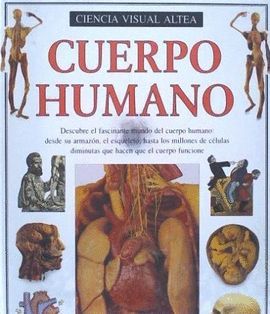 CUERPO HUMANO