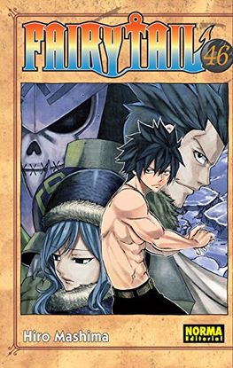 FAIRY TAIL N 46