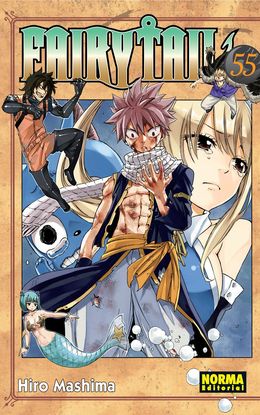 FAIRY TAIL 55