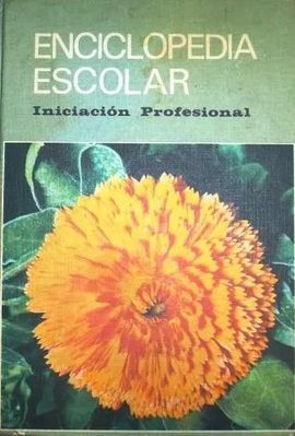 NUEVA ENCICLOPEDIA ESCOLAR H. S. R. INICIACIN PROFESIONAL