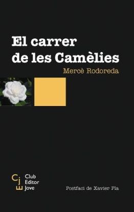 EL CARRER DE LES CAMLIES