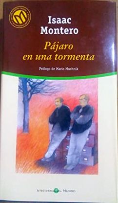 PJARO EN UNA TORMENTA