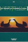 LA FAUNA EN CASTILLA Y LE�N