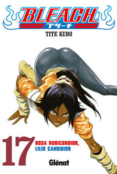 BLEACH 17