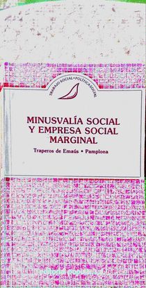 MINUSVALA SOCIAL Y EMPRESA SOCIAL MARGINAL