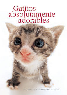 GATITOS ABSOLUTAMENTE ADORABLES