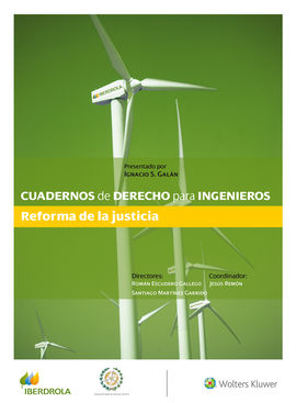 CUADERNOS DE DERECHO PARA INGENIEROS NMERO 40