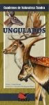 UNGULADOS