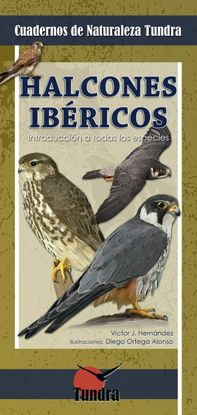 HALCONES IBERICOS