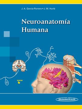 NEUROANATOMA HUMANA