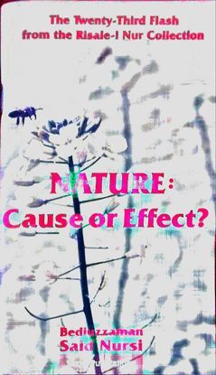 NATURE: CAUSE OR EFFECT