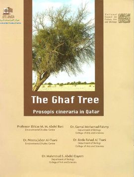 THE GHAF TREE PROSOPIS CINERARIA IN QATAR